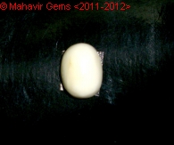 White_Coral_Oval_Cab